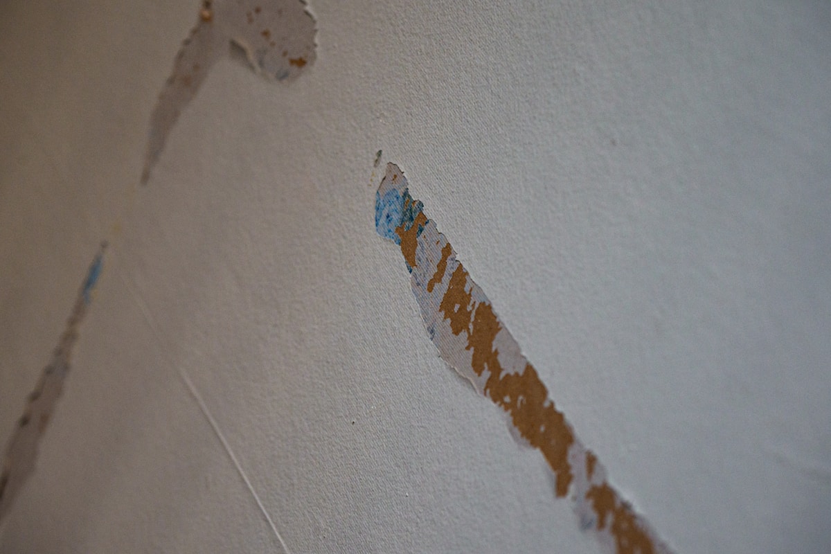 Storm Damage Repair service in Hoover, AL