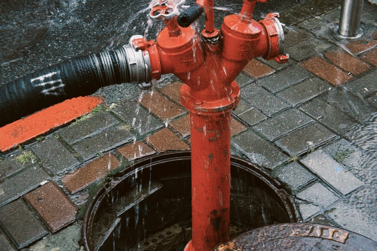 Flood Cleanup service in Hoover, AL